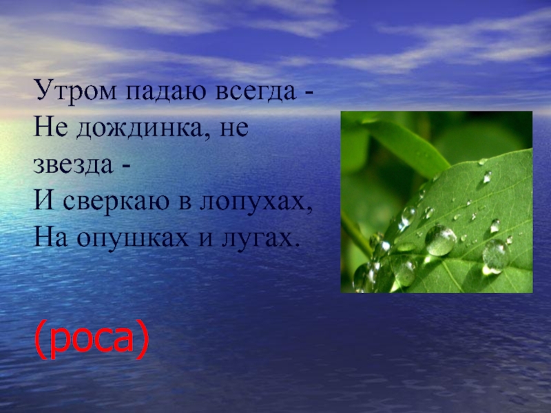 Всегда падает. Утром падаю всегда не Дождинка не. Загадка утром падаю всегда не Дождинка не звезда. Утром падаю всегда. Утром падаю всегда загадка ответ.