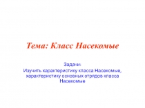 Тема: Класс Насекомые