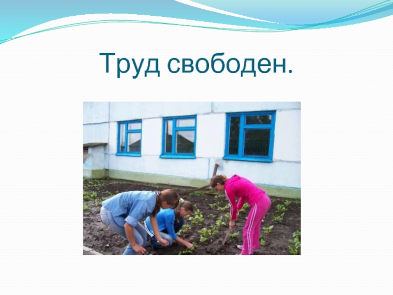 Труд свободен это. Свободный труд. Право на Свободный труд рисунок. Право детей на Свободный труд. Люди труда.