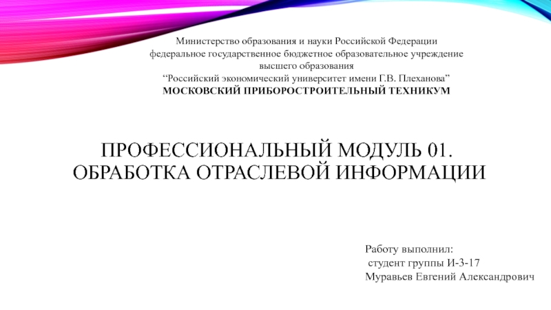 Профессиональный модуль 01. Обработка Отраслевой Информации