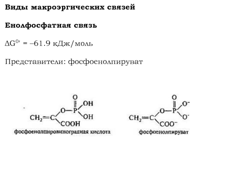 Макроэргические связи