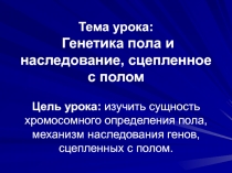 Генетика пола и наследование, сцепленное с полом