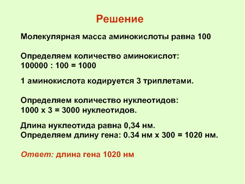 Сколько аминокислот кодирует триплет нуклеотидов