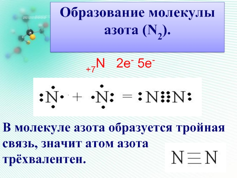Образование молекулыазота (N2).+7N  2е- 5е-В молекуле азота образуется тройная связь, значит атом азота трёхвалентен.