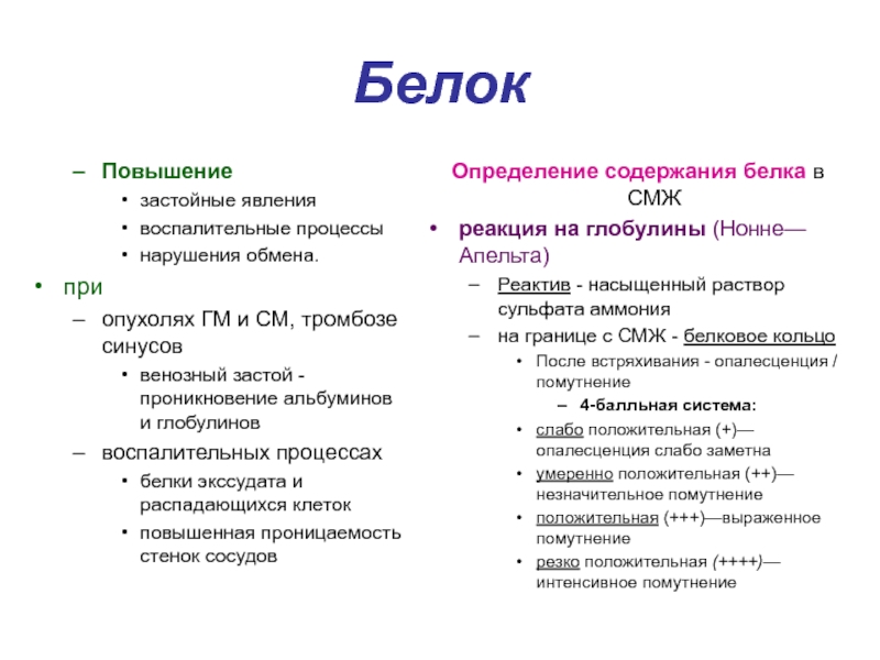 От чего повышается белок