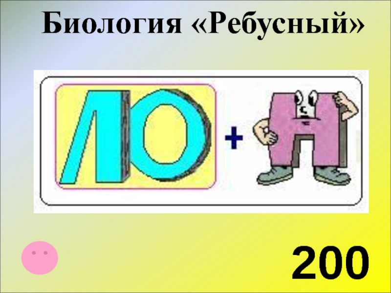 Биология 41