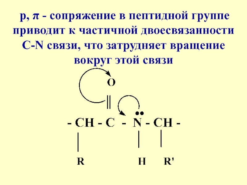 N связь. Сопряжение в пептидной связи. C-N связь. Строение пептидной группировки. Свойства пептидной связи.