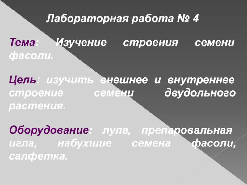 Лабораторная работа 6 класс изучение строения семян. Цель работы изучение строения семени. Лабораторная работа 4 изучение строения семени фасоли. Лабораторная работа 1 изучение строения семени. Лабораторная работа на тему строение семян фасоли.