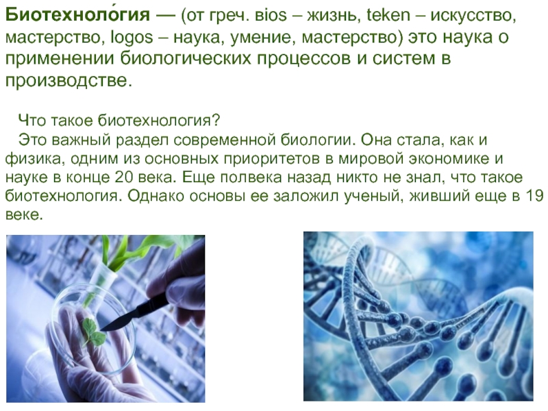 Биотехнология как отрасль производства презентация 10 класс