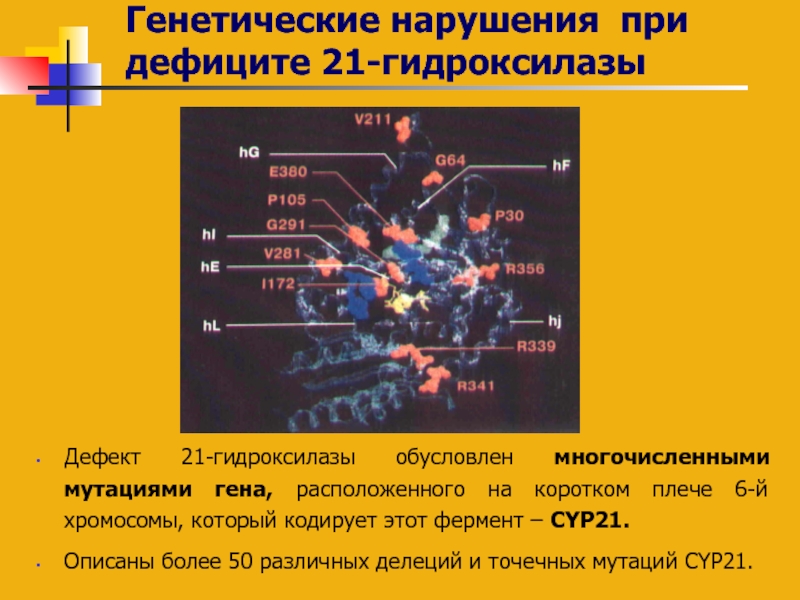 При значительном дефиците 21 гидроксилазы развивается клиническая картина