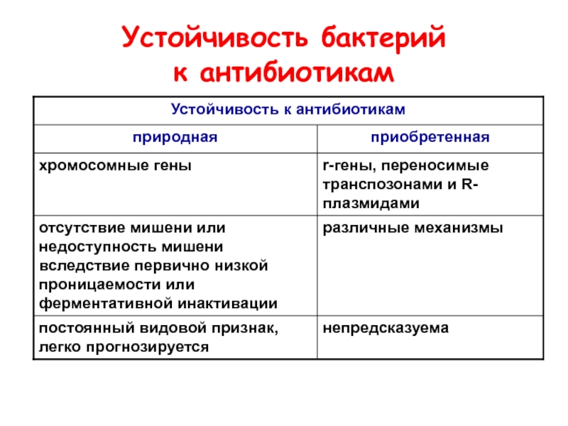 Индивидуальный проект антибиотики