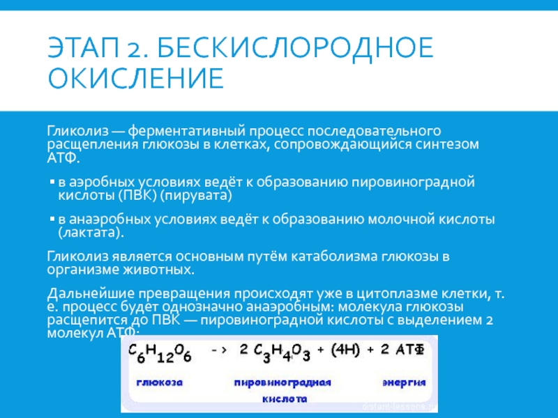 Бескислородное расщепление глюкозы