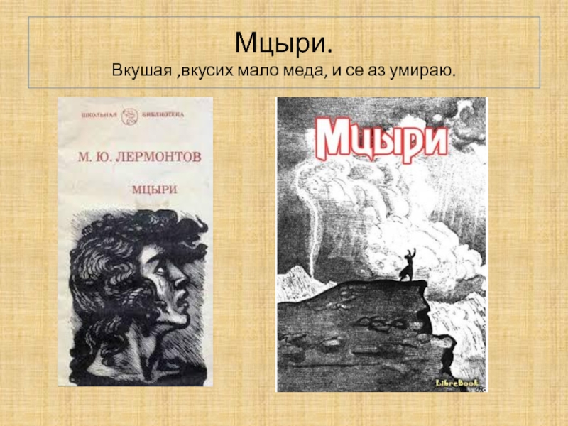 История мцыри