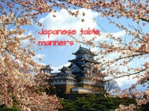 Japanese table manners