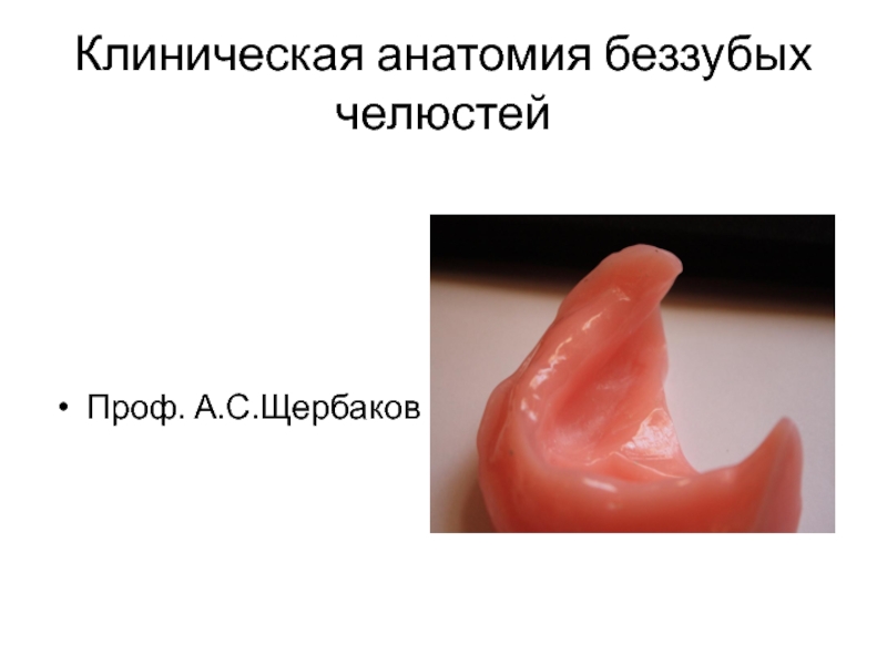 Клиническая анатомия беззубых челюстей 