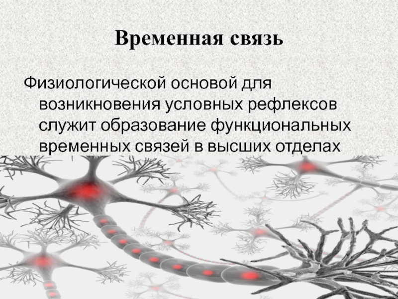 Презентация на тему высшая нервная деятельность рефлексы