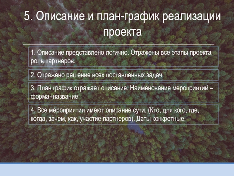 Описание представляет собой. План это краткое отражение содержания. План это решение отражающие. Описание 1 из проектов. Представьте с описанием сути.