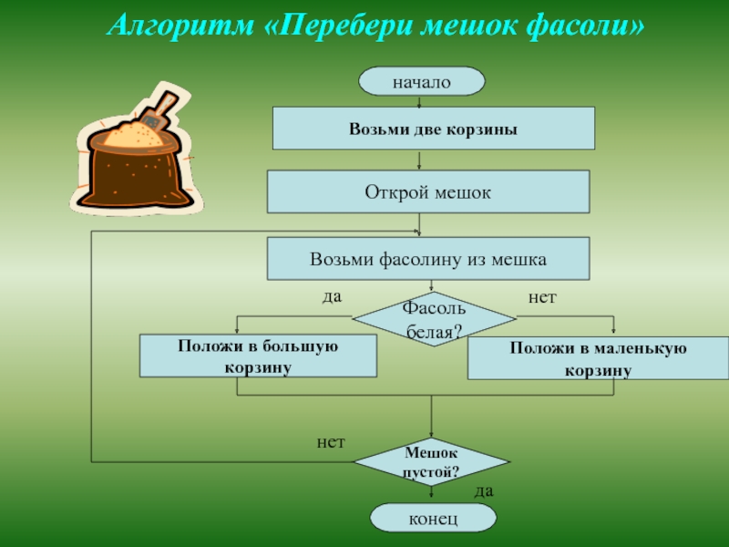 Алгоритм 6. Алгоритм разбора фасоли из мешка. Алгоритм разобрать фасоль. Составьте алгоритм разбора фасоли из мешка. Алгоритм собираюсь в школу составить.