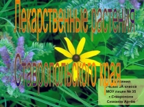 Лекарственные растения Ставропольского края