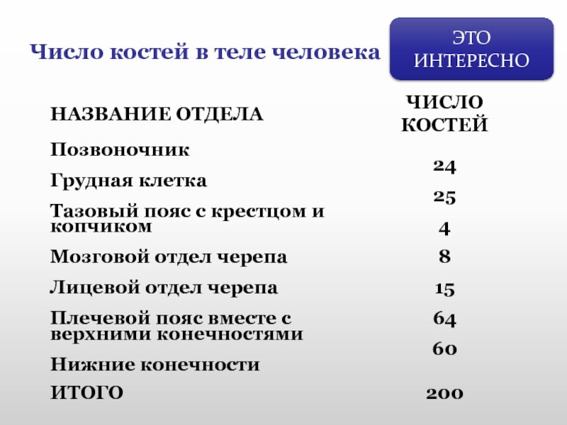 Число костей. Количество костей в теле человека. Число костей в теле человека. Число костей в теле.