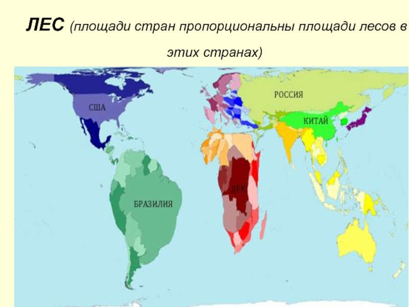 Пропорциональная карта мира