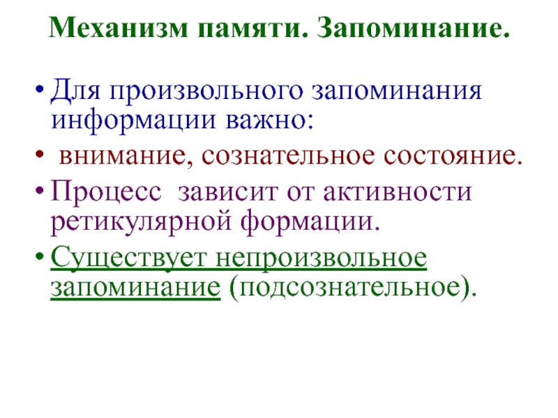 Процесс запоминания информации