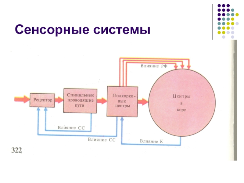 Схема сенсорной системы