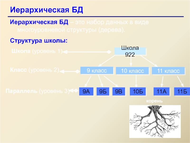 Иерархическая база данных. Иерархическая структура школы. Иерархическая БД школа. Иерархическая структура компьютера. Иерархическая модель проекта.