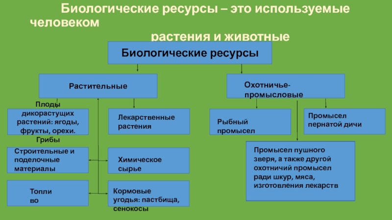 Управление водными биоресурсами