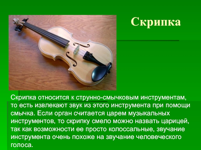 Скрипка коротко. Описание скрипки. Описание музыкального инструмента. Инструменты симфонического оркестра скрипка. Скрипка для презентации.