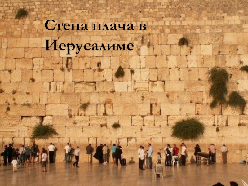 Презентация Стена плача в Иерусалиме