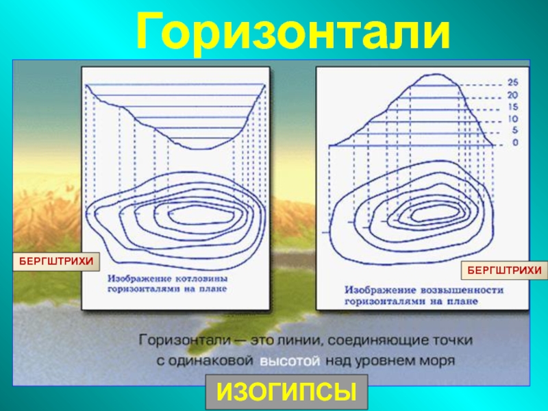 Условные линии на плане соединяющие точки с одинаковой абсолютной высотой