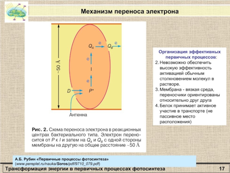 Мембрана процесс. Презентация на тему трансформация энергии в биомембранах.. Трансформация энергии в биомембранах. Мембранный насос биофизика определение. Как трансформировать энергию.