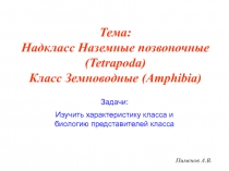 Задачи:
Изучить характеристику класса и биологию представителей класса
Пименов