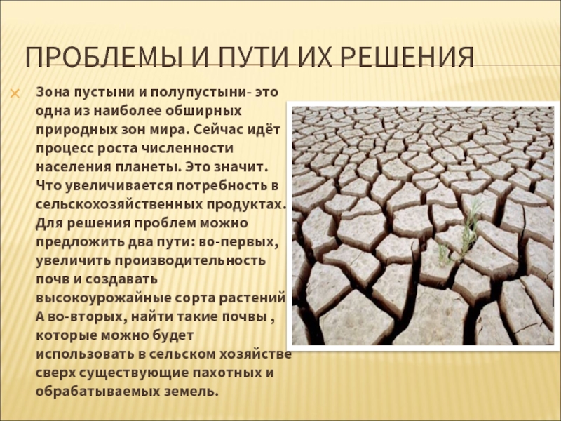 Описание природной зоны по плану пустыни и полупустыни