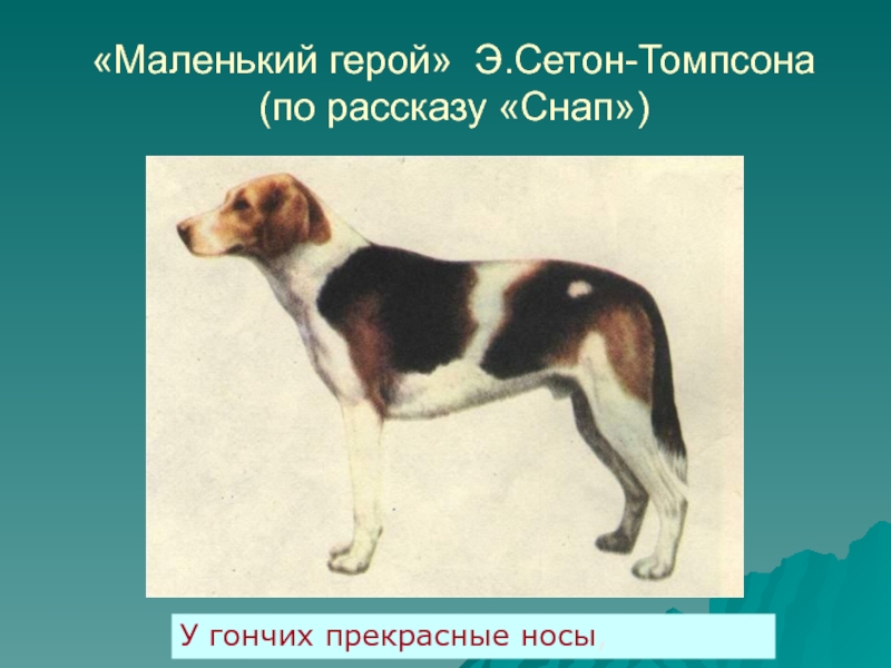 Снап. Снап Эрнест Сетон. Снап Томпсон. Снап Сетон Томпсон. Снап рассказ.