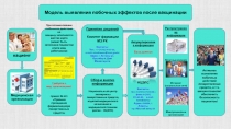 Модель выявления побочных эффектов после вакцинации
При возникновении побочного