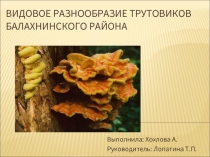 Видовое разнообразие трутовиков Балахнинского района