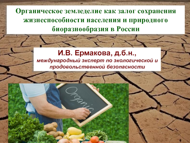 Презентация Органическое земледелие как залог сохранения жизнеспособности населения и природного биоразнообразия в России