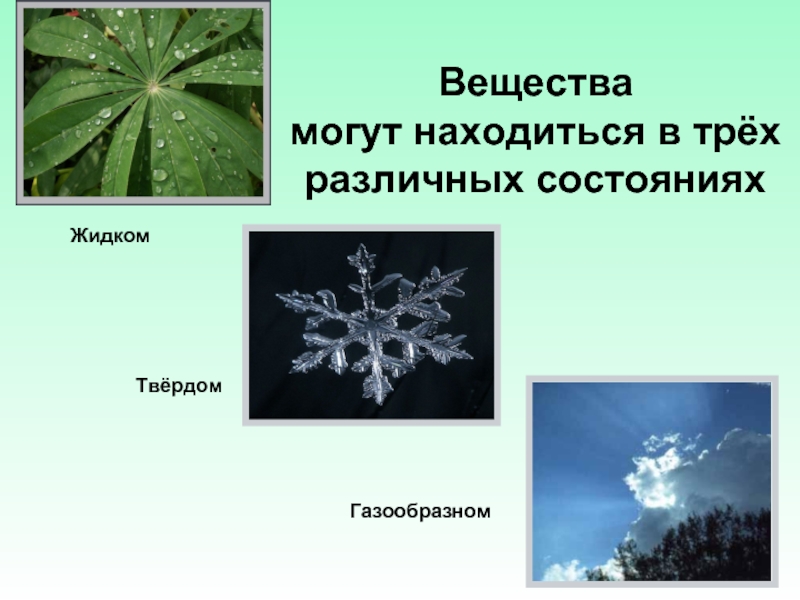 Может находиться в трех состояниях. Свойства и веществ в природе. Неживая природа твёрдые вещества.