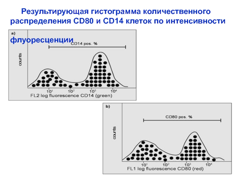 Количественное распределение. Проточная цитометрия гистограммы. Распределение интенсивности флуоресценции. Интенсивность флуоресценции формула. Пик интенсивности флуоресценции.