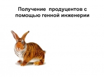 Получение продуцентов с помощью генной инженерии