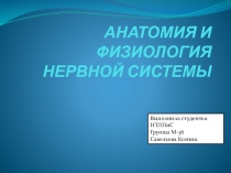 АНАТОМИЯ И ФИЗИОЛОГИЯ НЕРВНОЙ СИСТЕМЫ