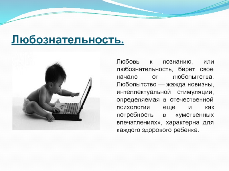 Чем отличается любознательность от любопытства. Любознательность пример из жизни. Любознательность это. Любопытство и любознательность. Человек любознательность.