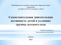 Самостоятельная двигательная активность детей в условиях группы детского сада