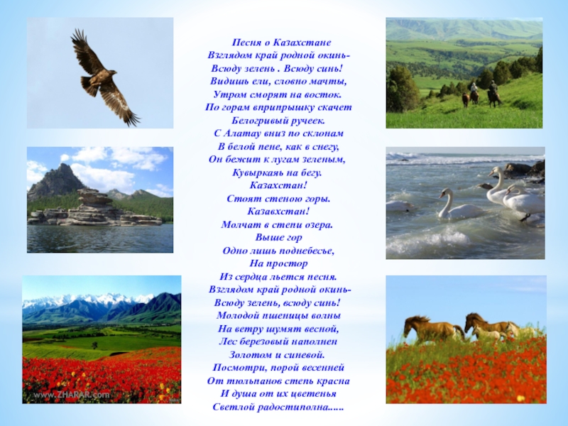 Родной край перевод. Стихи о природе Казахстана. Стих о родном крае Казахстан. Книги о природе Казахстана. Презентация о родном крае Казахстан.