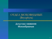 ОТДЕЛ МОХОВИДНЫЕ ( Bryophyta )