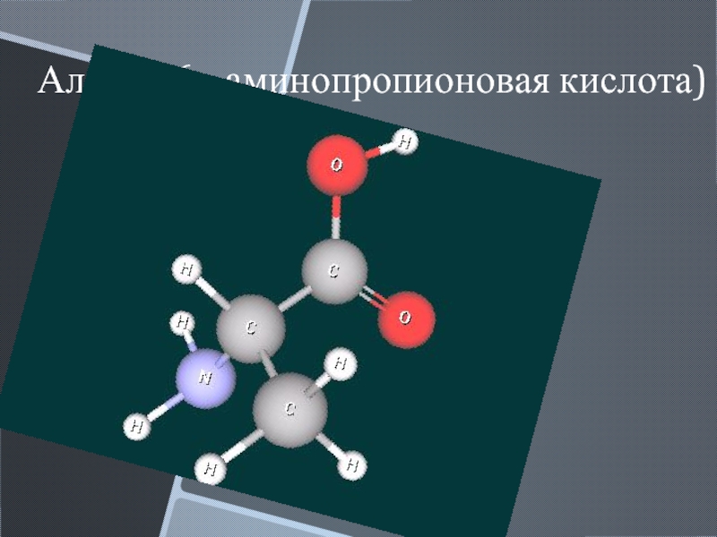 Амины модель молекулы. Аминопропионовая кислота. 3 аминопропионовой кислоты