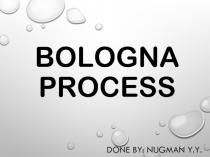 BOLOGNA PROCESS