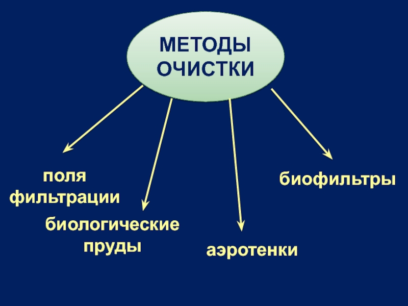 20 методов. Экобиотехнология. Цель экобиотехнологии. Приемы экобиотехнологии. Экобиотехнология решаемые проблемы.